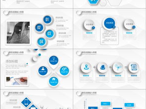 互联网通信与网络安全 从软件开发到营销展示