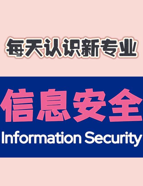 守护数字世界 网络与信息安全软件的开发实践与未来挑战